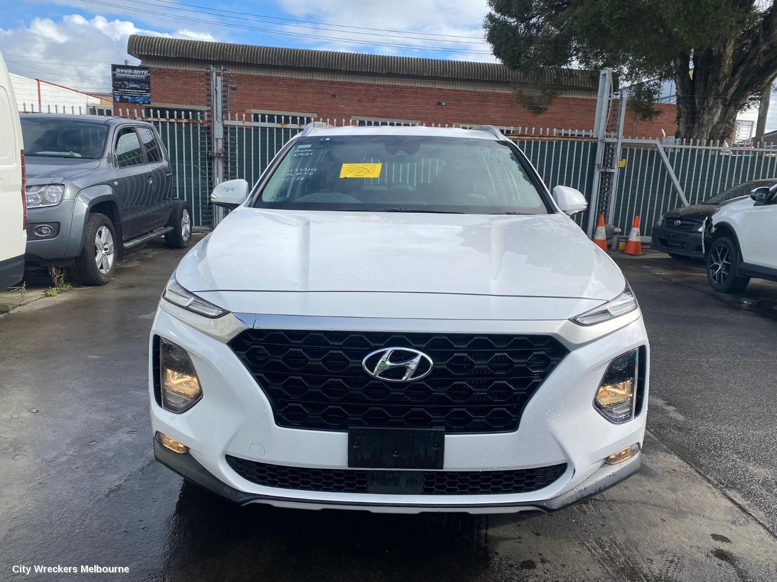 HYUNDAI SANTA FE 2020 Right Guard