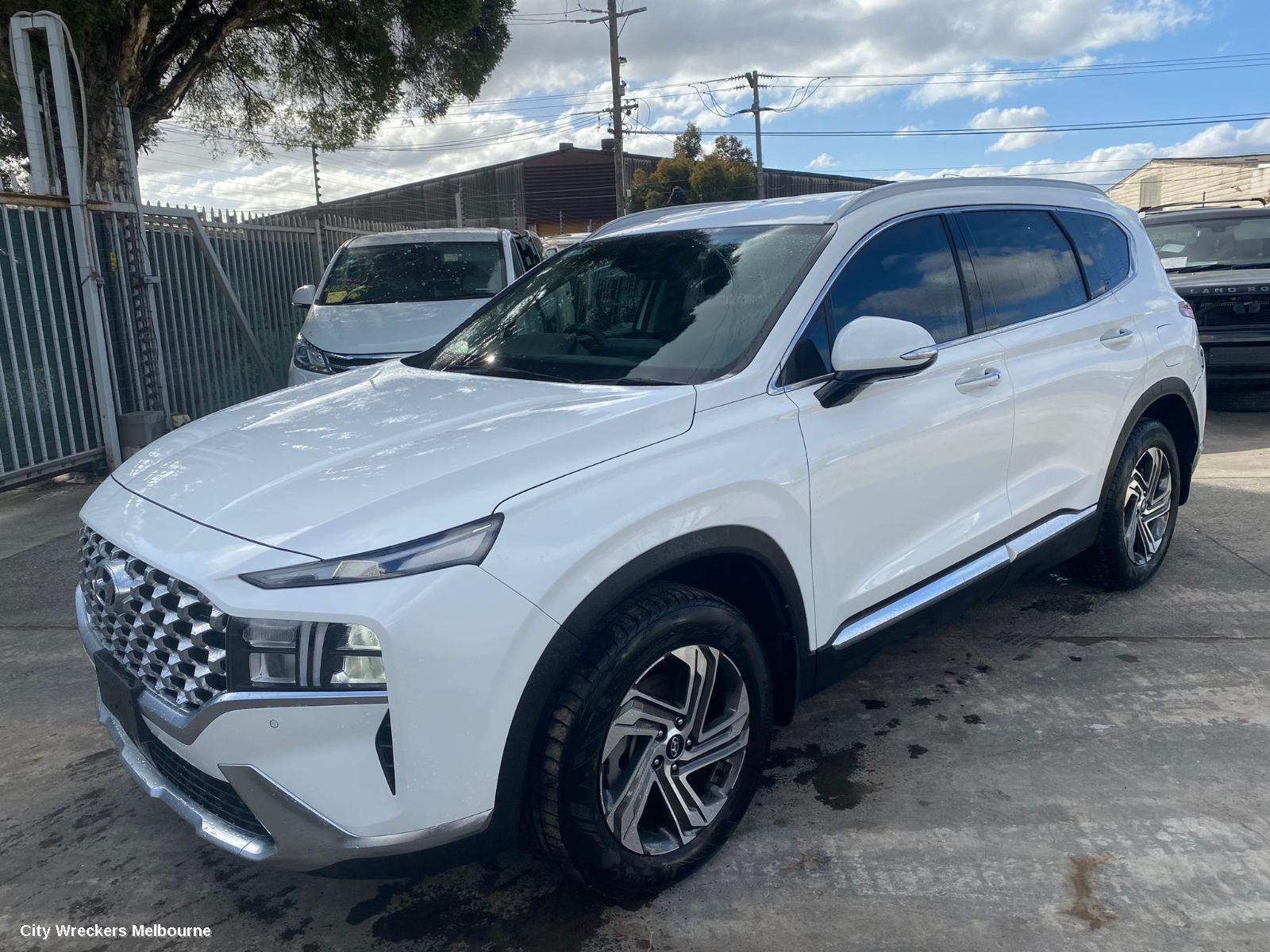 HYUNDAI SANTA FE 2022 Left Front Door