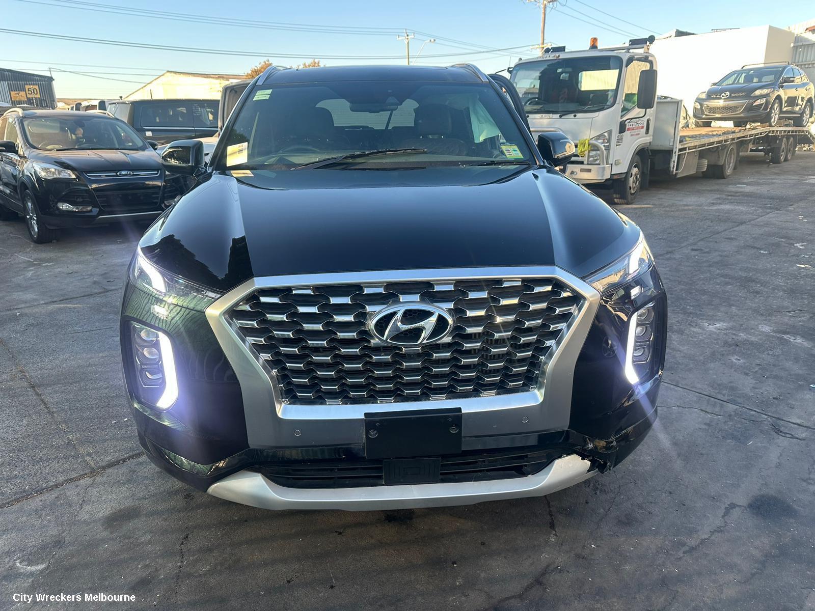 HYUNDAI PALISADE 2021 Bonnet