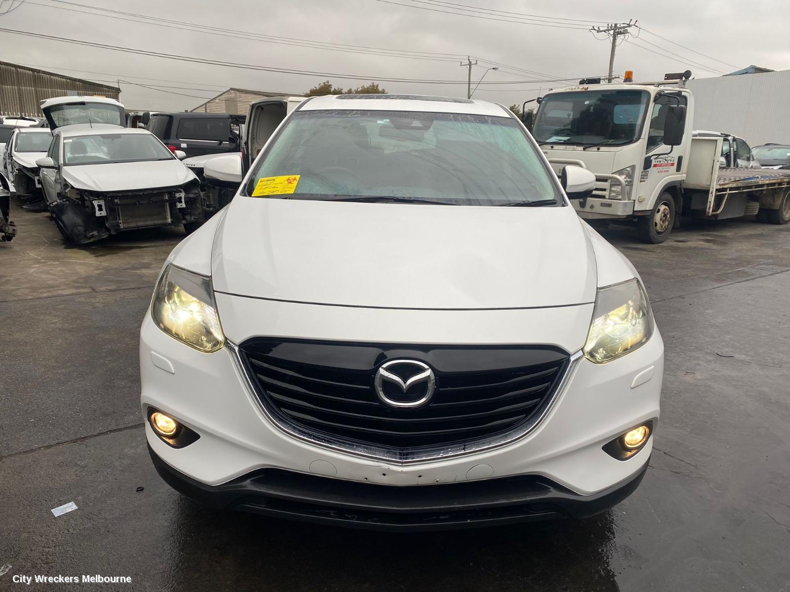 MAZDA CX9 2013 Courtesy Light