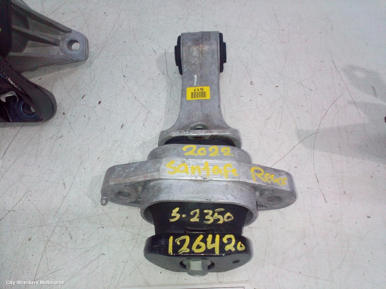 HYUNDAI SANTA FE 2022 Mount